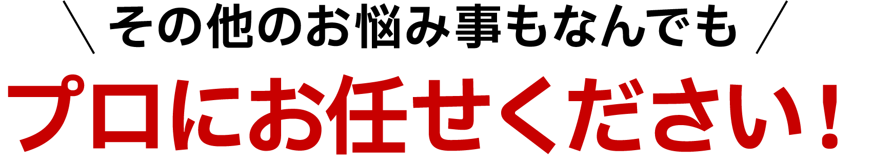 その他のお悩み事もなんでもプロにお任せください！