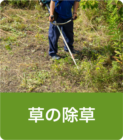 草の除草